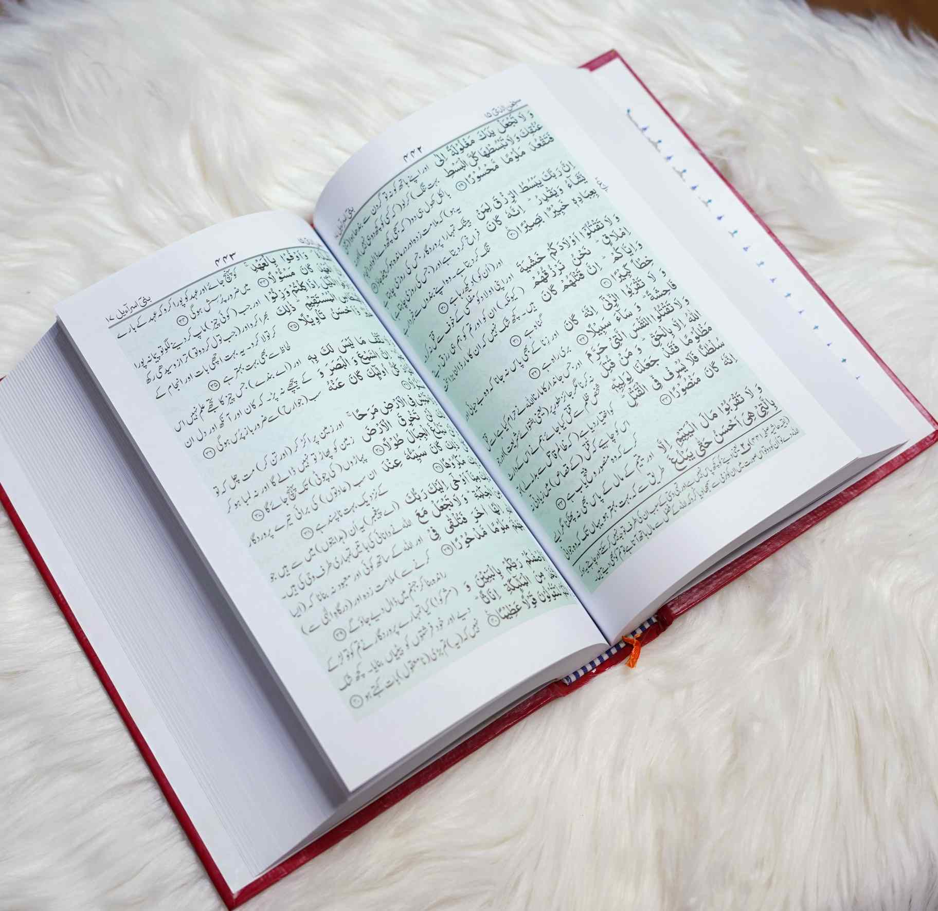Quran Urdu Tarjuma